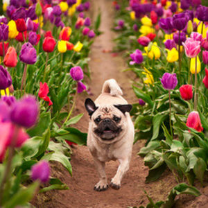 TIP-TOE through my closet & MAKE AN OFFER!!!